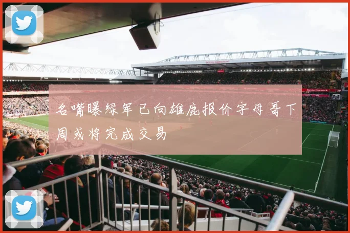 名嘴曝绿军已向雄鹿报价字母哥下周或将完成交易