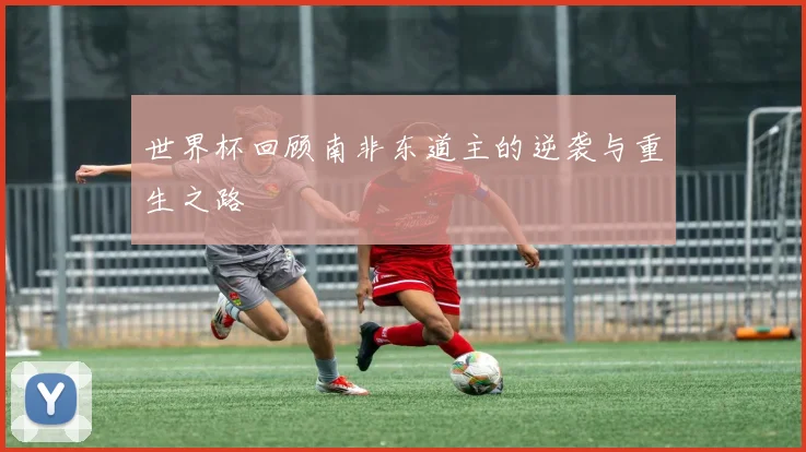 世界杯回顾南非东道主的逆袭与重生之路