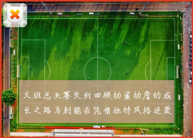 文班总决赛失利回顾幼鲨幼詹的成长之路马刺能否凭借独特风格逆袭成功